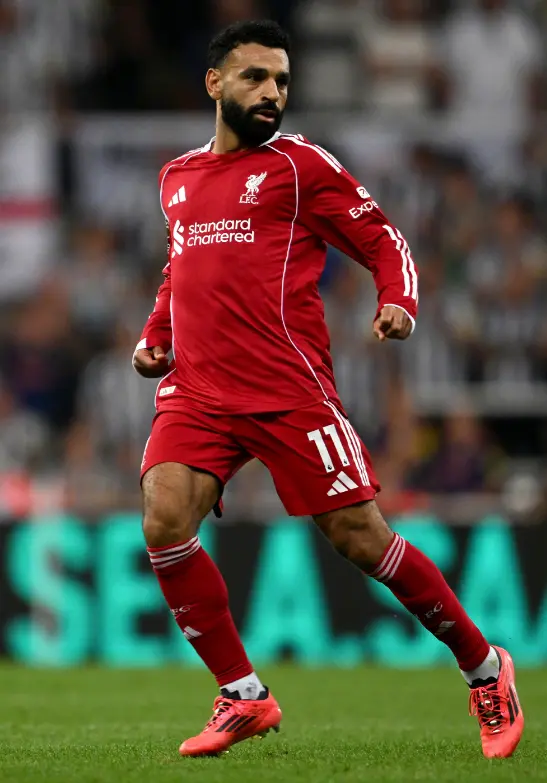 开门红, 拥有了当今